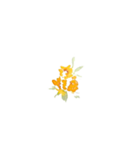 Flor Amarilla