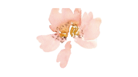 Flor