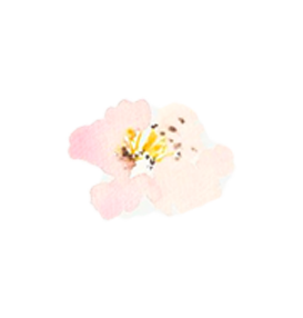 Flor